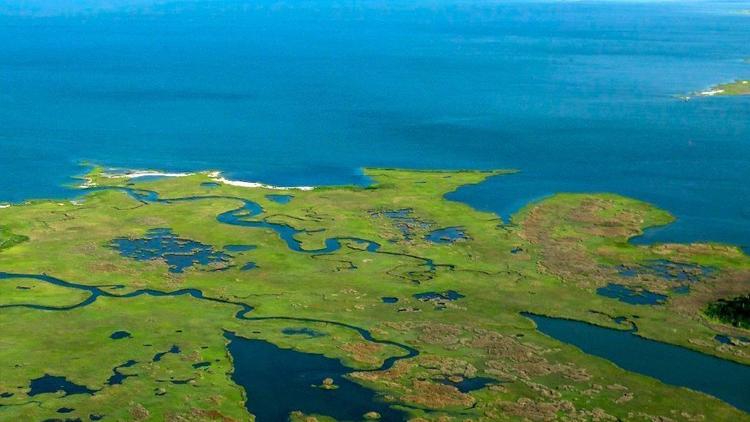 Chesapeake By Aerial